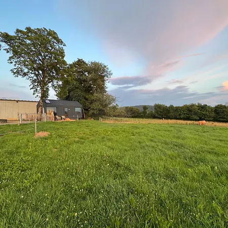 Campismo de Luxo Tinyhouse In Der Hahn bei Marienberg