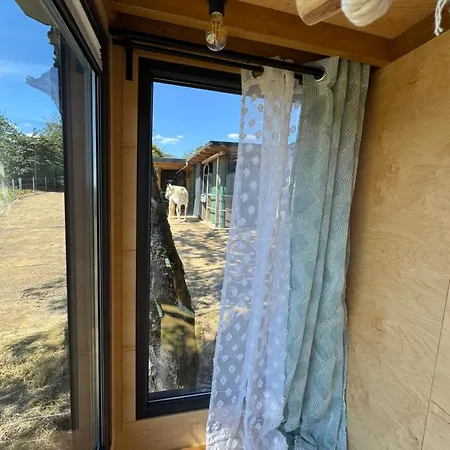 Luxussátor Tinyhouse In Der *