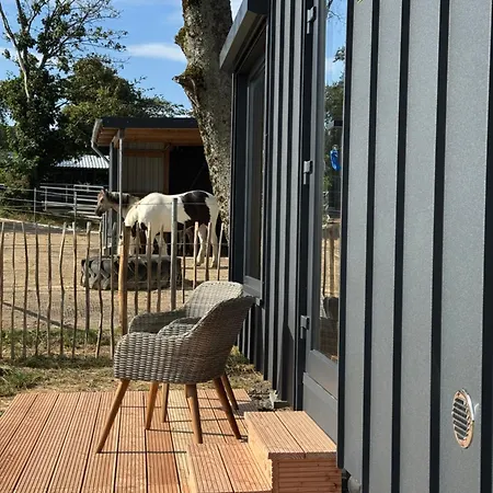 Luxussátor Tinyhouse In Der Hahn bei Marienberg