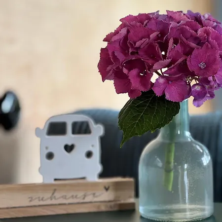 Tinyhouse In Der Luxussátor *