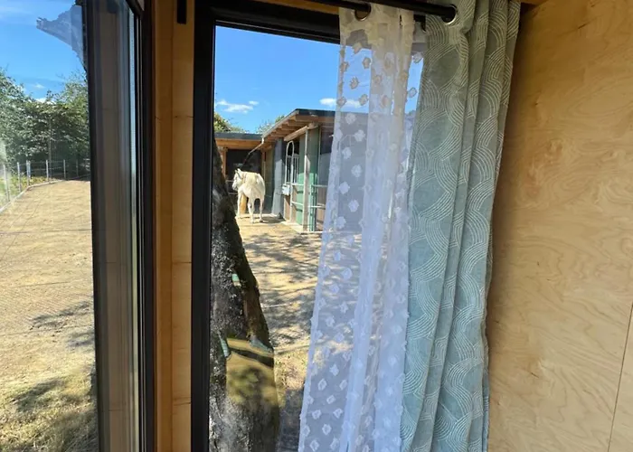 Luksusowy namiot Tinyhouse In Der *