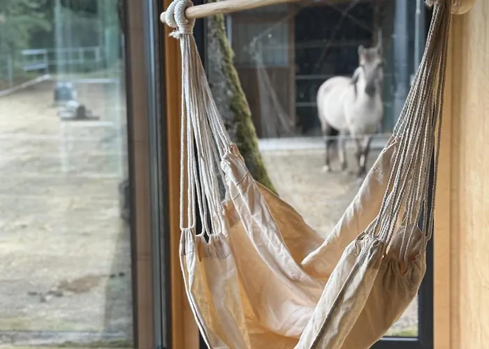 Tinyhouse In Der Hahn bei Marienberg