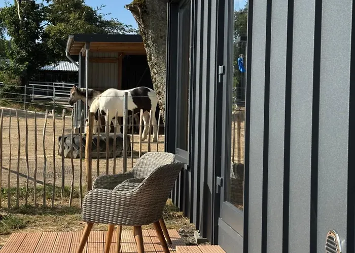 Luksusowy namiot Tinyhouse In Der Hahn bei Marienberg