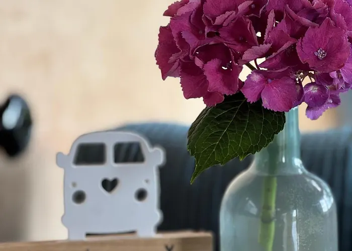 Tinyhouse In Der Luksusowy namiot *